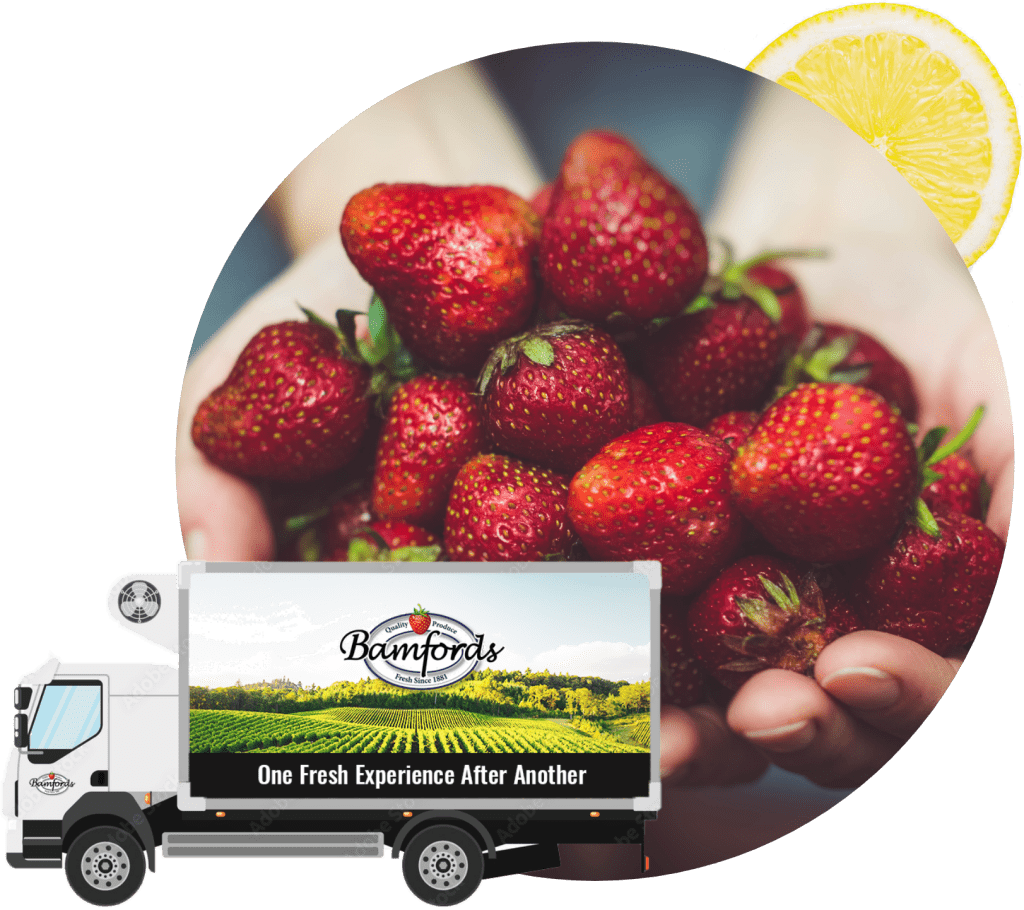 Everything Produce Image