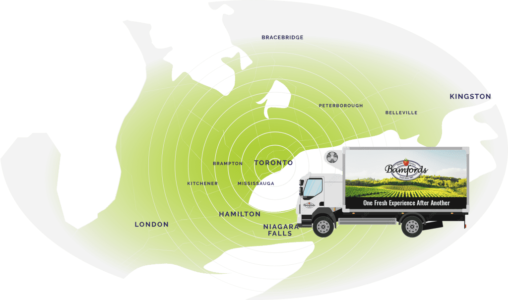 Network Delivery Section Image