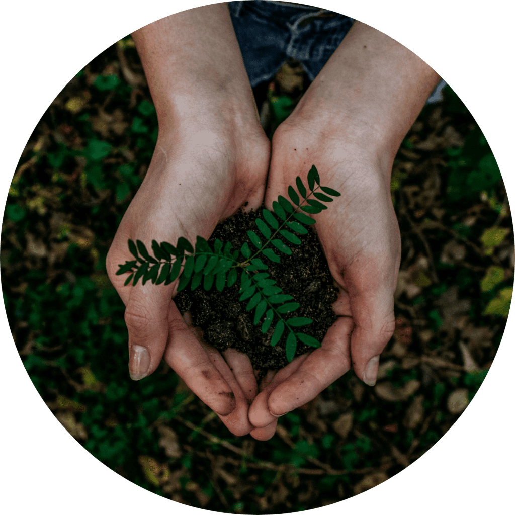 Sustainability Section Image