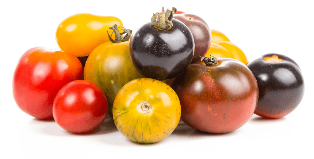 Tomatoes Accent Image