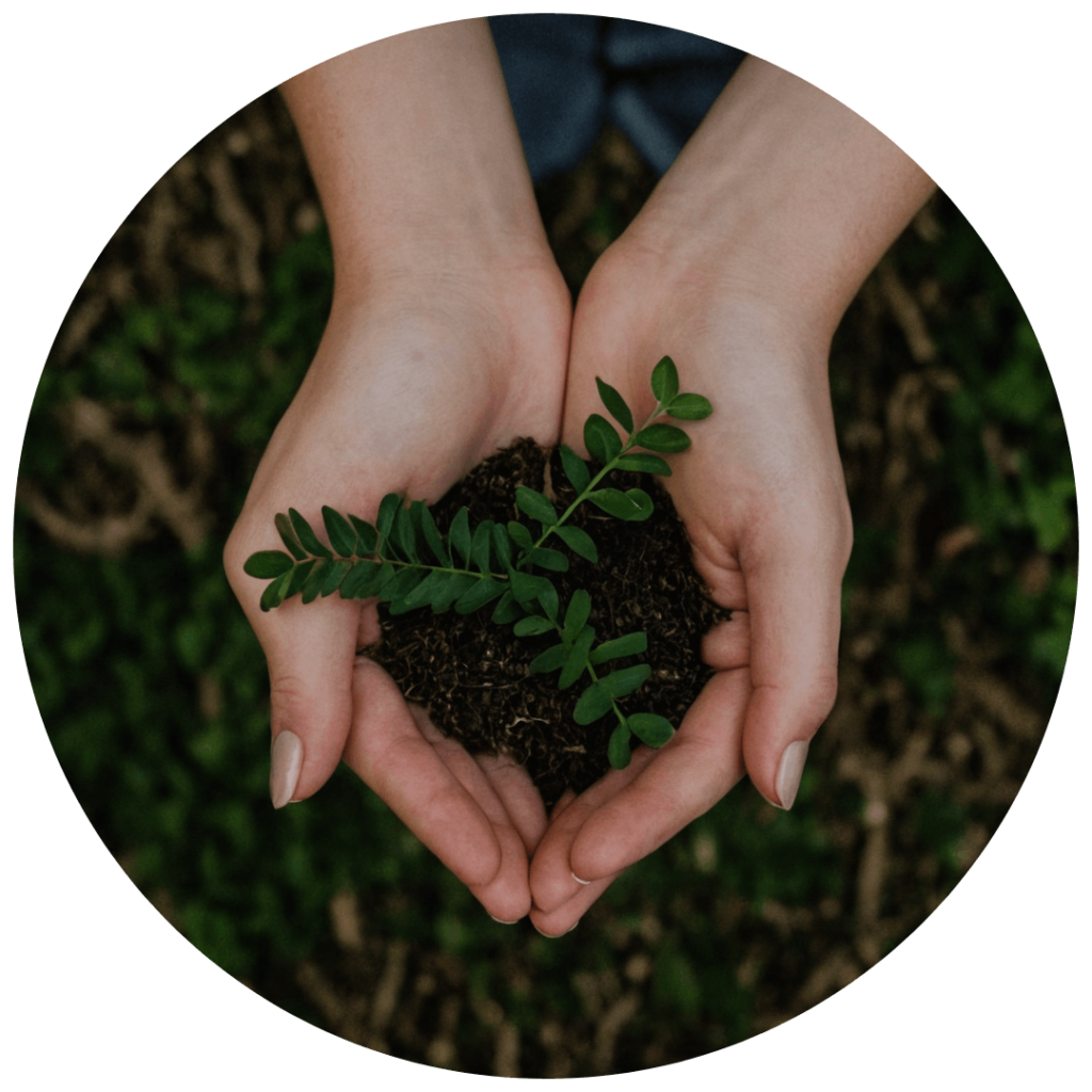 Sustainability Section Image