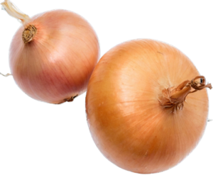 Bottom Left Accent Image